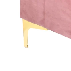 Leen Bakker ABERDEEN - Ottomaan met opbergruimte - Roze - Fluweel New