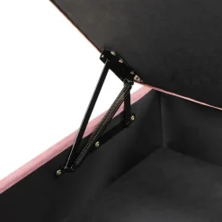 Leen Bakker ABERDEEN - Ottomaan met opbergruimte - Roze - Fluweel New