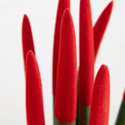 Plant in a Box Afrikaanse Speerplant - Sansevieria cylindrica - Hoogte 20-40cm - Pot 9cm Best