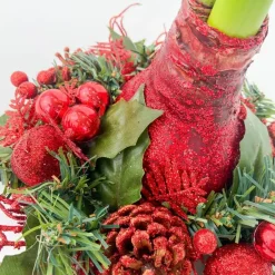 Plant in a Box Amaryllis - Hippeastrum 'Kerstkransmix'