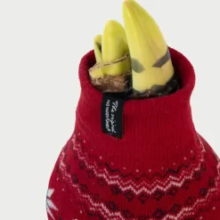 Plant in a Box Amaryllis - Set van 3 - Hippeastrum 'Christmas Sweater' - Bloembol - Rood Sale