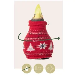 Plant in a Box Amaryllis - Set van 3 - Hippeastrum 'Christmas Sweater' - Bloembol - Rood Sale