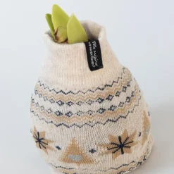 Plant in a Box Amaryllis - Set van 3 - Hippeastrum 'Christmas Sweater' - Bloembol - Rood Sale