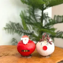 Plant in a Box Amaryllis - Set van 2 - Hippeastrum 'Wax special Santa Mix' Discount