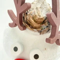 Plant in a Box Amaryllis - Set van 2 - Hippeastrum 'Wax special Santa Mix' Discount