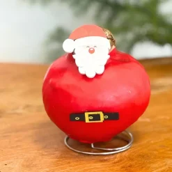 Plant in a Box Amaryllis - Set van 2 - Hippeastrum 'Wax special Santa Mix' Discount