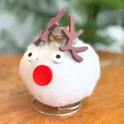 Plant in a Box Amaryllis - Set van 2 - Hippeastrum 'Wax special Santa Mix' Discount