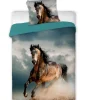 Animal Pictures Paard - Dekbedovertrek - Eenpersoons - 140 x 200 cm - Multi Hot