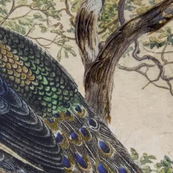 Art for the Home Canvas Geschilderde Details Peacock in Paradise Sale