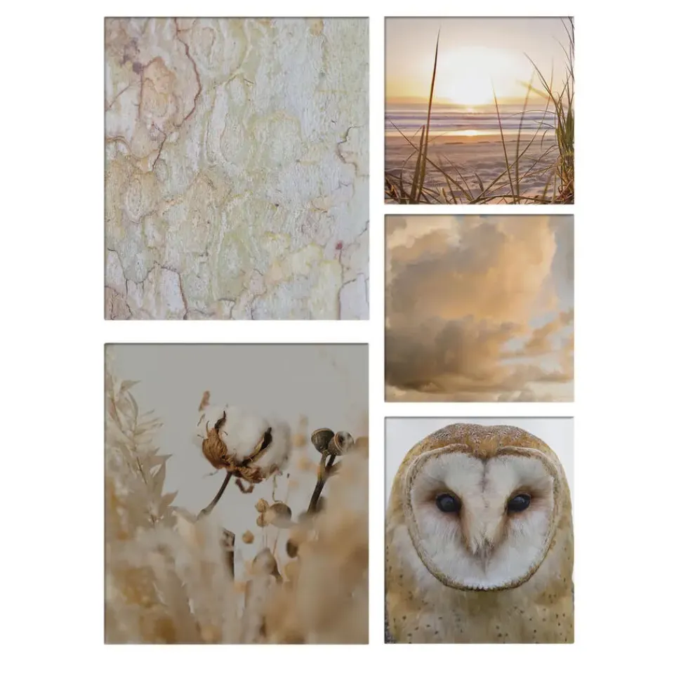 Art for the Home Natuur Canvas Set van 5 80x60 cm New