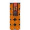 Atmosphera Geurtheelichtjes - 10x stuks - Exotisch Fruit geur Hot
