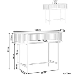 Leen Bakker BIRSON - Consoletafel - Zwart - MDF Best