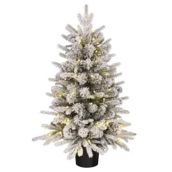 Black Box Trees Grimshaw Kunstkerstboom met Verlichting - H90 x Ø61 cm New