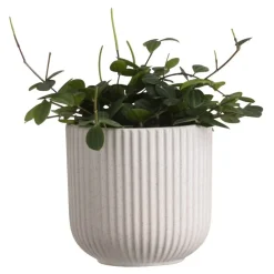 Leen Bakker Bloempot Ribe - grijs - keramiek - 14xØ14,5 cm Hot