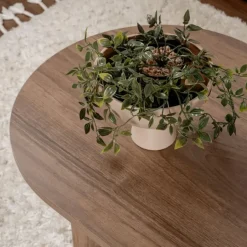 Calicosy - Salontafel IRIS - Walnoot - 39,8x119x60 cm Discount