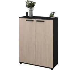 Parisot Commode Celestia met 2 deuren - eikdecor/zwart Discount