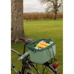 Curver Koelbox 10L - 46,2x22.6x21.3cm - Groen Hot