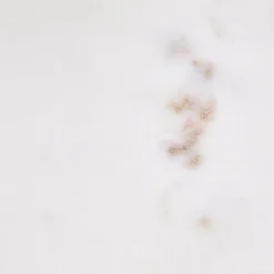 Beliani DIMARI - Decoratief dienblad - Wit/Gouden - Marmer Hot