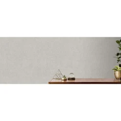 Dutch Wallcoverings - Onyx uni grijs - 0,53x10,05m Clearance