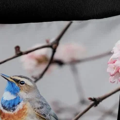 Pure Duvet cover 240x220 + 2* 60x70 cm Clearance