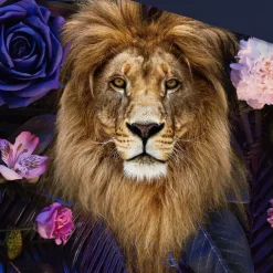 Pure Duvet cover 240x220 + 2* 60x70 cm Discount