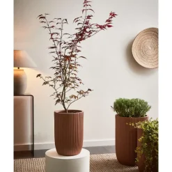 Leen Bakker EANTIO - Bloempot - 25 x 25 x 38 cm - Bruin - Kleivezels Sale