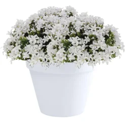 EDA Toscane Bloempot - kunststof - wit - D40 x H32 cm Best