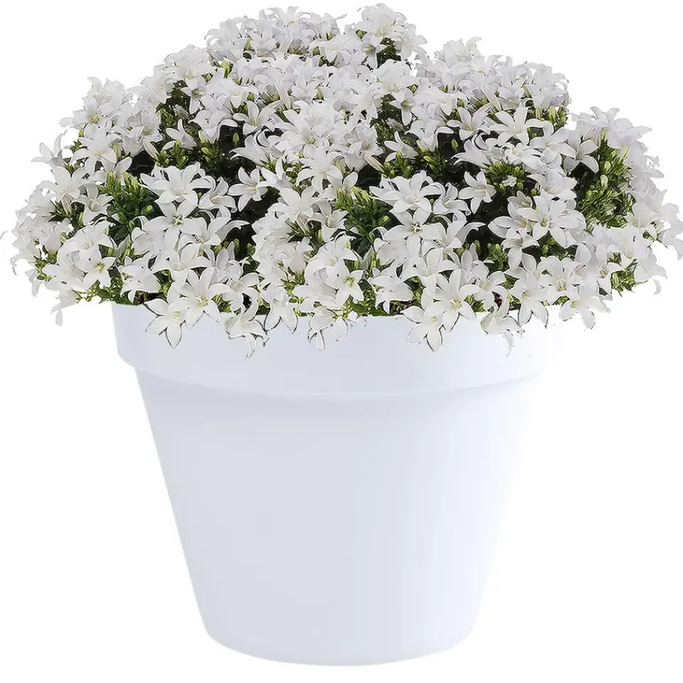 EDA Toscane Bloempot - kunststof - wit - D30 x H26 cm Discount