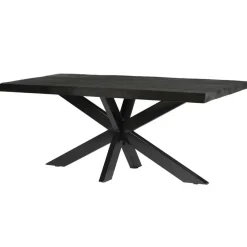 Livingfurn Eettafel Rechthoek 200cm - Zwart Mangohout - 4-6 personen - Norris Online