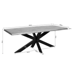 StarFurn Eettafel Rechthoek Naturel Hout - 200x100x76cm - Denver Discount