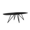 Giga Living Eettafel Zwart Acaciahout - Ovaal - 240x110x76cm - Langford Discount