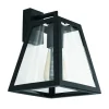 EGLO Amesbury 1 Wandlamp - E27 - Glas - Zwart Hot