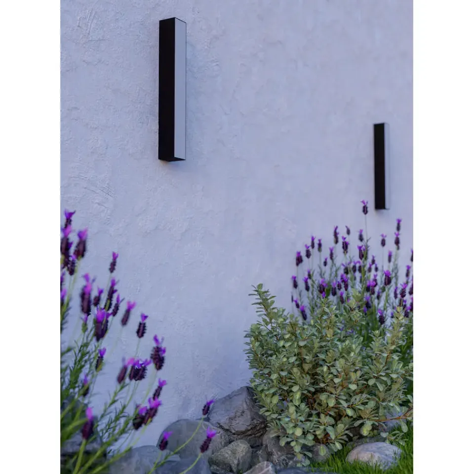 EGLO Salitta Wandlamp - LED - 38 cm - Zwart New