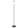 EGLO Scordiano-L Vloerlamp - Solar - 120 cm - Zwart New