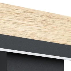 EGLO CamachoWandlamp-LED-44cm-Zwart/Bruin Best