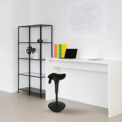 Sedero Ergonomische zit-sta kruk / wiebelkruk Ergo - Zwart Online