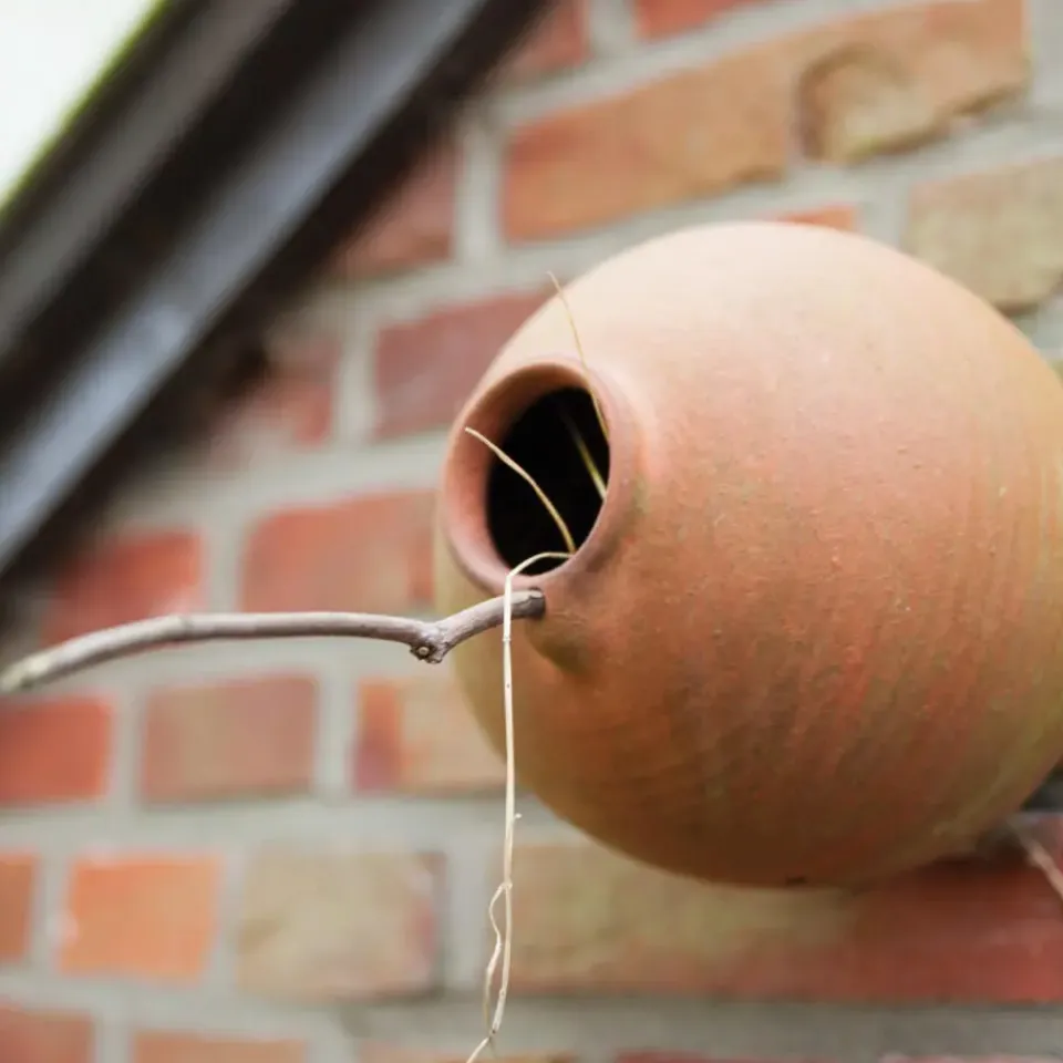 Esschert Design Vogelhuisje - mussen en mezen - pot - 17 cm New