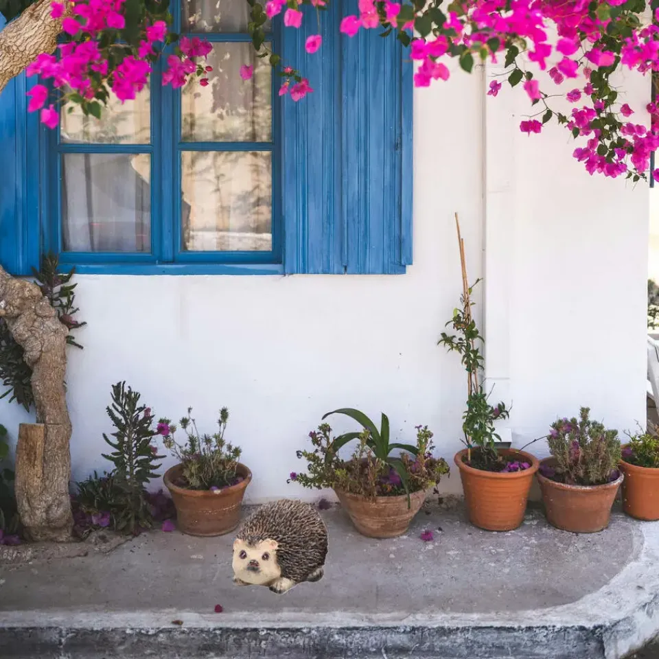 Farmwood Animals Farmwood Egel tuin beeldje - voor binnen/buiten - 10 x 7 x 6 cm Online