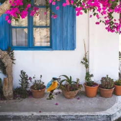 Farmwood Animals Farmwood tuin deco vogel beeldje - ijsvogel - op tak - 9 x 15 cm Discount