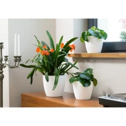 Form Plastic Plantenpot - kunststof - ivoor wit - D13 x H12 cm Sale