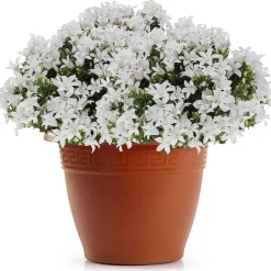 Forte Plastics Bloempot - terracotta - kunststof - 50 cm Hot