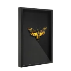Merkloos Fotokader in 3D - Box Frame - Fotolijst - 6 cm diep - MDF - 40x60cm - Zwart Clearance
