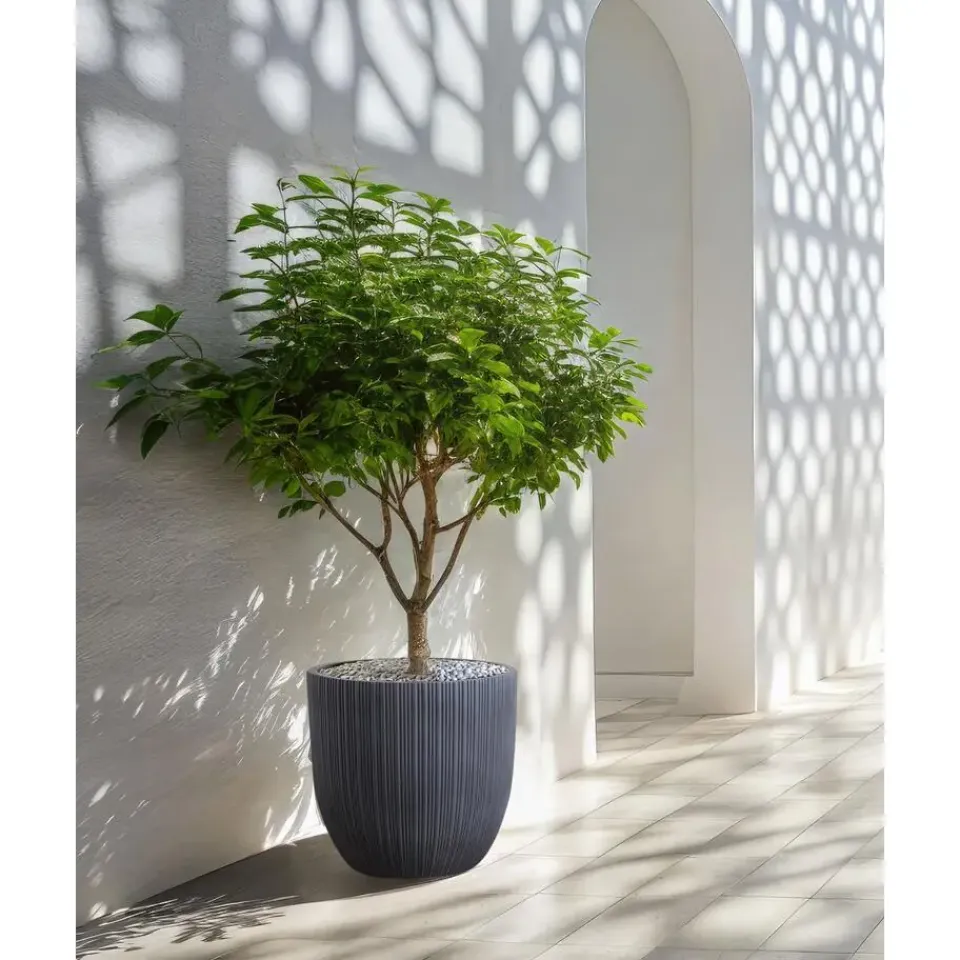 Leen Bakker FRAXINUS - Bloempot - Grafietgrijs - MgO Online