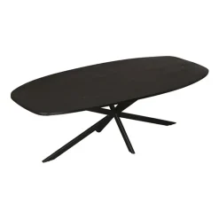 Furndea Eleanor eettafel Deens ovaal zwart - 100x200x76 cm Online