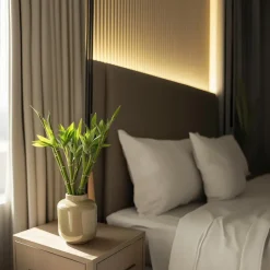 Plant in a Box Geluksbamboe - Set van 6 - Dracaena sanderiana - Hoogte 40-50cm - ⌀2cm Outlet