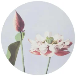 Reinders Glasschilderij Elegante Bloem - Ø 70cm - Roze Best