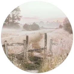 Reinders Glasschilderij Ochtenddauw in de weide - Ø 50cm - Beige Online
