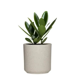 Hakbijl Glass Hakbijl Plantenpot/bloempot Cindy - wit - keramiek - D15xH15 cm