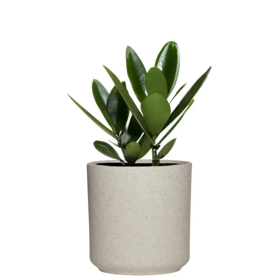 Hakbijl Glass Hakbijl Plantenpot/bloempot Cindy - wit - keramiek - D15xH15 cm