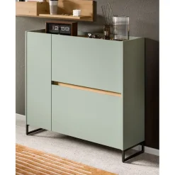 Merkloos Hioshop Drive schoenenkast 1 deur- 2 vouwdeuren salvie decor Discount